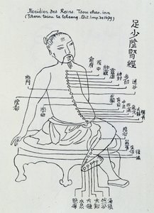 Acupunctura chinesa: o meridiano dos rins de Unknown artist