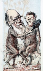 Desenho de comédia sobre a teoria de Darwin - no "London Sketchbook" de Unknown artist
