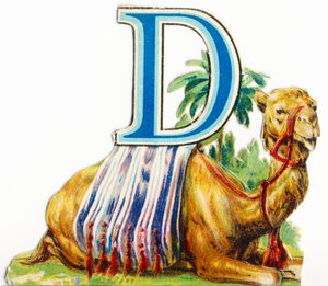 D: Dromedário de Unknown artist