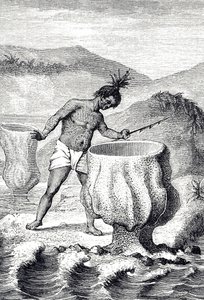 Gravura representando uma variedade de esponja chamada Cálice de Neptuno (Thalassema Neptune) de Unknown artist