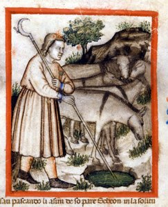Esa grazes burros - o Pentateuco. Miniatura do códice 212 (ou códice padovano ou Bíblia de Pádua) 1390-1400 Rovigo, Accademia dei Concordi de Unknown artist