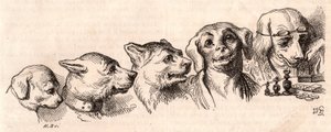 Evolução de um cão para uma forma humana de Unknown