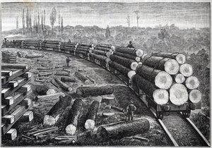 Exploração das florestas dos Estados Unidos. Ferrovias temporárias com trilhos de madeira. Vagões com troncos de árvores. Gravura em "La Nature". de Unknown artist