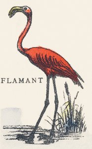 F: flamingo de Unknown artist
