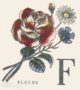 F: flores de Unknown artist