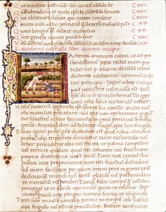 Agricultores plantando vinhedos (miniatura de Unknown artist