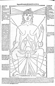 Aparelho reprodutivo feminino - em Tratado de Medicina de Gerolamo Cardano (Cardano) (Cardanus Hieronymus), Florença 1585. de Unknown artist