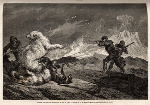Lute com um urso polar protegendo seu bebê, a matilha de cães a ataca e os caçadores, armas de fuzil, espere pelo momento certo para atirar nela. Gravura para ilustrar a viagem ao mar livre do pólo Ártico, pelo Dr. Hayes, cirurgião do de Unknown artist