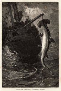 Pescar um martelo squal, de 7 metros de comprimento, nas águas perto da Ilha Anastasia. Gravura para ilustrar a história quatro meses na Florida, de Achille Pousselgue em 1851-1852, publicada em "Le tour du monde" 1870-1871, editada por Edouard Charton, Ha de Unknown artist