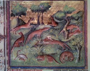 Raposa caçando aves. Miniatura do manuscrito "Le livre de la chasse" (fólio 34v) de Gaston Phoebus (1331-1391) dit Gaston III Comte De Foix de Unknown artist