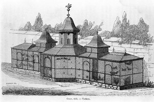 Ave de jardim. Gravação de sd. Século XIX. de Unknown artist