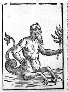 Glaucos com a erva mágica que lhe permitirá viver no mar - em Mythologiae sive explicationis fabularum de Natalis Comitis. Patavia de Unknown artist