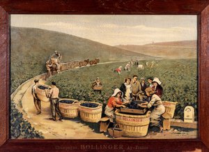 Colheita em Bollinger, cerca de 1900. de Unknown Artist