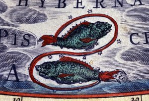 Horóscopo: signo do zodíaco, Peixes. Gravura do século XVI. de Unknown artist