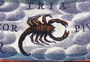Horóscopo: signo do zodíaco, o Escorpião. de Unknown artist