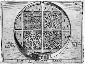 Hortus Medicus Patav: Jardim Médico de Pádua. de Unknown artist