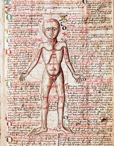 Gravura do corpo humano do "Tractatus de pestilentia" do século XV - Praga, Biblioteca Nacional de Unknown artist
