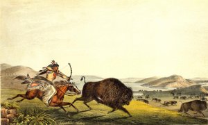 A caçar bisontes na América do Norte. Sd. Século XIX. de Unknown artist