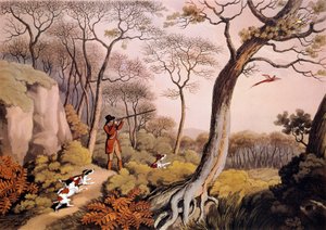 Caça aos faisões em Inglaterra. Gravura do século XIX. Gien, museu da caça. de Unknown artist