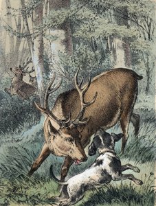 Ilustração dos contos de Franz Hoffmann "Contos e Fábulas - "Os 2 veados": um veado a fugir e o outro a lutar com um cão. Cromolitografia do século XIX. de Unknown artist