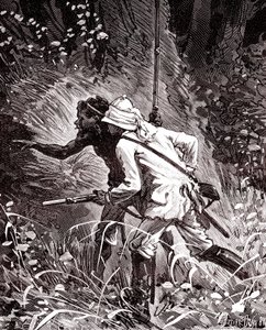 Nos campos de borracha (Hevoea) na selva da Guiana de Unknown artist