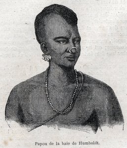 Povo indígena da Nova Guinee: Papua de Humboldt Bay. Gravura em "L