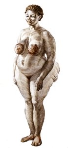 La Venus Hottentote, mulher do grande Bochiman (The Hottentot Venus,) gravura de 1815. de Unknown artist