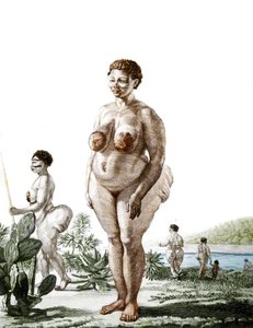 La Venus Hottentote, mulher do grande Bochiman (The Hottentot Venus,) gravura de 1815. de Unknown artist