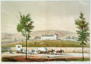 Le clos Vougeot, vinha da Cote d