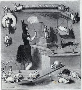 Les coelhos vestidos du Nouveau Cirque em Paris: domador em traje de coelho ensinando os diferentes números ao animal. Gravura em "La Nature" 1890. Coleção particular. de Unknown artist