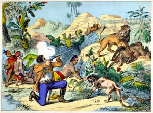 Caça ao leão na África Austral. Gravura do século XIX. de Unknown artist
