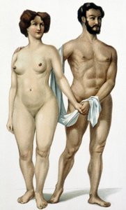 Homem e mulher - livro de medicina, final do século XIX de Unknown artist