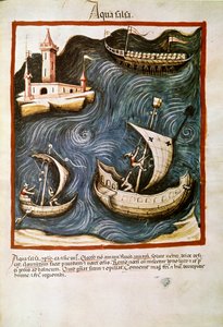 Comércio de medicamentos: "água salgada" Página retirada de "Tacuinum sanitatis" (Cod. ser. nov. 2644) Cerca de 1400 Viena, Osterreischische Nationalbibliothek de Unknown artist