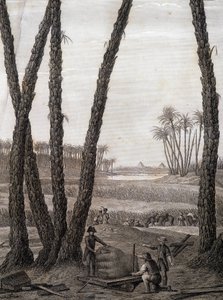Memphis, vista das ruínas (cientistas e artistas trabalhadores) - em "Descrição do Egito", Edições Imperiais de Unknown artist