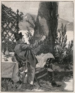 Napoleão Bonaparte (1769-1821) escreveu a palavra "Battaglia" no tronco de um loureiro na ilha de Isola Bella, no Lago Maggiore, três dias antes da Batalha de Marengo, em 1800. Gravura de 1885 em "Les arts et metiers illustres". de Unknown artist