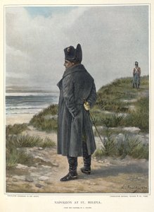 Napoleão em St Helena de Unknown artist