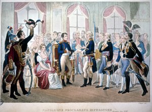 Napoleão foi proclamado Imperador em 1804. de Unknown artist
