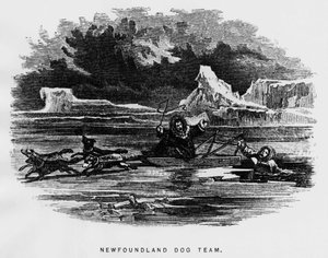 Pólo Norte: cão de trenó pairando sobre um homem cai pelo gelo - Elisha Kent Kane, Exlorations Artic Exlorations in the years 1853-1855, Philadelphia, Childs and Peterson de Unknown artist