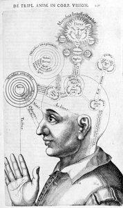 Fisiognomia (frenologia) de Collectio Operum de Robert Fludd (Robertus de Fluctibus). Londres 1617 de Unknown artist