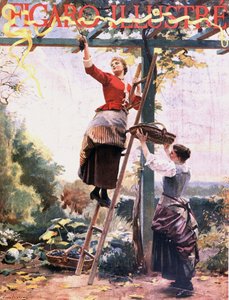 Colheita de uvas em vinhas suspensas - in "Figaro illustré", Out. 1891 de Unknown artist