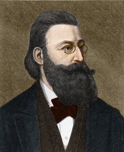 Retrato Ludwig Anzengruber (1839-1889), escritor austríaco. de Unknown artist