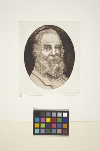 Retrato de Walt Whitman (tinta, impressão) de Unknown artist