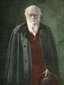 Retrato de Charles Darwin (1809 - 1882) de Unknown artist