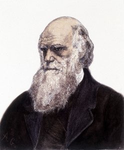Retrato de Charles Robert Darwin, naturalista britânico (1809-1882) de Unknown artist
