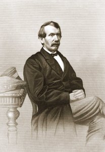 Retrato de David Livingstone (1813 - 1873). de Unknown artist