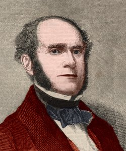 Retrato de Fitz-Greene (Fitz Greene) Halleck (1790-1867), poeta americano. Gravura em "The illustrated London News", de 23 de Janeiro de 1858. de Unknown artist
