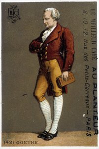 Retrato de Goethe. Desenho sd. Século XIX. Retrato de Goethe em pés. Desenho sd. Século XIX. de Unknown artist