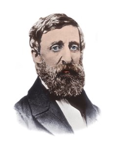 Retrato de Henry David Thoreau (1817-1862) - ensaísta, poeta, filósofo, abolicionista, naturalista, fiscalista, crítico de desenvolvimento, agrimensor e historiador americano de Unknown artist