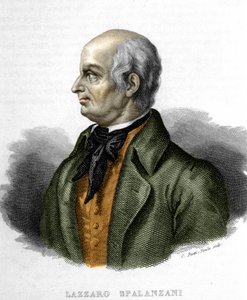 Retrato de Lazzaro Spalanzani (ou Spallanzani), biólogo italiano (1729 - 1799) de Unknown artist
