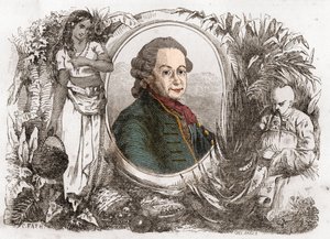 Retrato de Pierre Poivre (1719-1786), administrador colonial francês e agrônomo. de Unknown artist